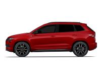 BORBET LX für Skoda Karoq. Imagepolitur der besonderen Art
