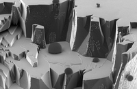Gewinner des Carl Zeiss Nano Image Contest stehen fest