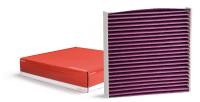Biofunctional cabin filter for clean air in the vehicle