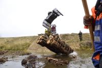 Totes Holz für mehr Leben im See