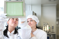 Schutz für Hochfrequenz-Elektronik