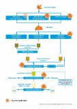 Vacuum Technology in the Extraction of Cannabinoids