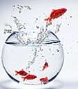 Stellenangebot Chefarzt / ärztlicher Direktor? Qualifizierte Ärzte suchen über Kontrast Personalvermittlung aus Hamburg neue Jobs Krankenhaus!