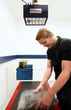 Datenerfassung und Handling in einer Bewegung: Kompakte Kamera liest Barcodes und 2D-Codes