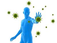 Seminar: Keimfreie Oberflächen in der Medizin Verhinderung von nosocomialen Infektionen