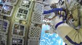 Fraunhofer-Algen zurück von der ISS