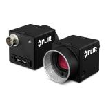 Can New Advances in CMOS Replace sCMOS Sensors in Biomedical Applications?