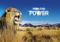Feel the Power - VARTA startet mit kraftvoller PoS-Kampagne in den Frühling