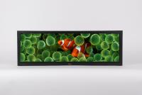 Ideal complement to extensive display product portfolio: Gleichmann Electronics now also offers innovative "stretched panels" from Tovis