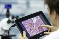 Tab4Lab von Carl Zeiss dokumentiert Mikroskopaufnahmen