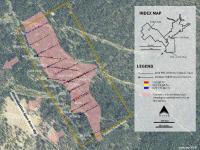 Revival Gold durchschneidet 0,94 g/t Gold über 54 Meter bei Arnett und 20,1 g/t Gold über 2,1 Meter bei Beartrack