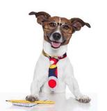 Ein Herz für Hunde – Pro Einkauf 1 Euro Spende