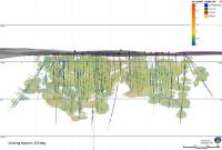 Trillium Gold Announces Potential to Expand Quantity and Grade of Gold Mineralization at Newman Todd