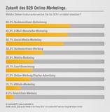 Trends 2012/2013 im B2B Online-Marketing: Studie belegt - Unternehmen mit zentraler Strategie sind erfolgreicher