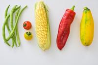 “Everyone at the Table!” The first-ever Food Policy for Canada