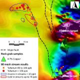 Aurania entdeckt neues hochgradiges Gold in Kupferzone und findet bei Schürfproben 325 g/t Silber