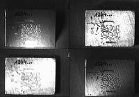 ROFIN and VisionTools to Showcase Innovative DataMatrix Code for Industrial Marking Applications