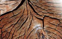 Holz mit Zusatzfunktionen