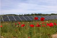Unigea Solar Projects GmbH plant großes Solarkraftwerk im Süden von Brandenburg
