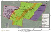 Trillium Gold Intersects 9 metres at 19.73 g/t gold including 1.55 metres at 102.16 g/t gold in Hole NT21-194