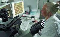 Kongress „Circulating Tumor Cells 2012“: maintrac-Verfahren überzeugt Fachwelt mit hoher Nachweisrate bei der Detektion von Tumorzellen