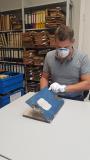 Schimmel – Lebensgefahr für Archivgut!