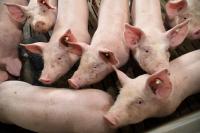 LANXESS will Desinfektions- und Hygieneanbieter Theseo übernehmen