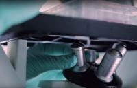 Patient pre-immunization may be bypassed with hAd19a/64 – pre-clinical data look promising
