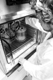 Mikroben fertigen Bioplastik aus Rauchgas und Strom