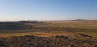 Steppe Gold: Top Sommererfolge auf den Goldprojekten in der Mongolei