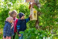 Kinder erforschen Leben der Insekten