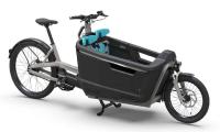 ca go: Design Meets Safety