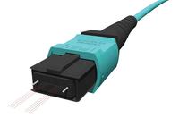 Connect with Optec – High Speed MTP/MPO-Lösungen für 40/100 G Applikationen