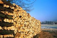Die "Hessische Energiespar-Aktion" informiert: "Heizen mit Holz - ein Überblick"