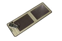 International Dye Solar Cell Industrialisation Conference, 2007