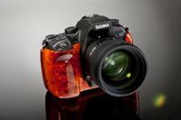 SIGMA SD1 „Wood Edition“: limitierte Serie aus Edelholz überzeugt mit erstklassiger Fotoqualität