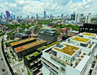 Green roofs offer so much more