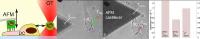 JPK launches the OT-AFM Combi-System - the world's first combined system to provide optical tweezers and atomic force microscopy