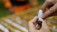 Gold – ein Luxusgut und ein Investment