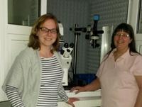 Untersuchung der Wechselwirkung von Bakterien mit mikrostrukturierten Oberflächen an der TU Kaiserslautern mit dem JPK NanoWizard® Rasterkraftmikroskop