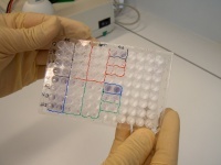 Diagnostika für Viruskrankheiten