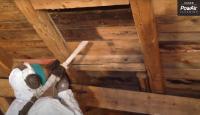Fassadenreinigung mit kalter Trockendruckluft und sonst nichts…