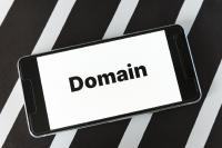 How to get my Domain back, if a Domain Squatter has registered it?