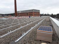 Sonnenstrom fürs Nahversorgungszentrum - NATURSTROM und EWERG ermöglichen Gewerbemietern sauberen Strom vom Dach