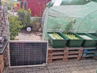 Aquaponic - autarkes Solar-System der iKratos Solartechnik im erweiterten Versuchsaufbau
