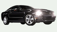 Ford Mustang gewinnen mit der everIT GmbH™ und Microsoft
