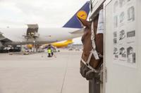 Ein fliegender Pferdestall