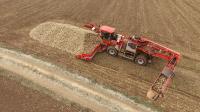 Holmer auf der Beet Europe 2016