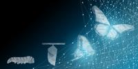 Lernreise „Transformation live“