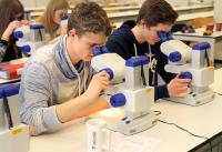Rheinland-pfälzische Olympioniken der 28. Internationalen Biologie-Olympiade experimentieren an der TU Kaiserslautern